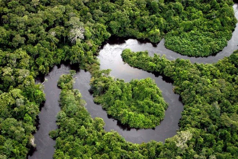 Para projeto-piloto na Amazônia Legal, são mais de R$500 milhões destinados para atividades de conservação e recuperação da natureza. O projeto tem base na legislação do Código Florestal. Imagem: Arquivos Governo do Brasil, 2020.