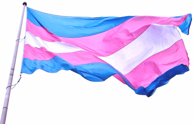 A imagem mostra a bandeira trans. 