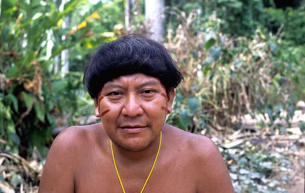 Xamã Yanomami, Davi Kopenawa. O garimpo ilegal está ameaçando a vida dos Yanomami. Fiona Watson/Survival