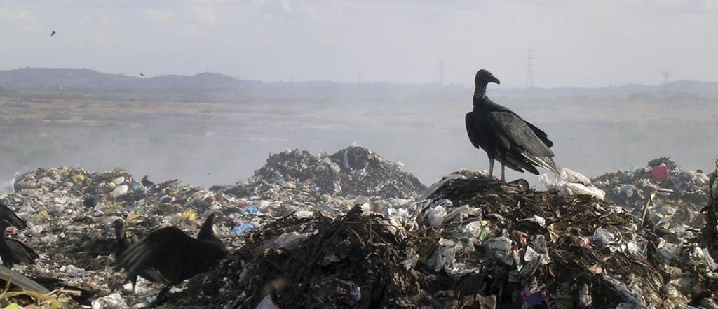 residuos-solidos-meio-ambiente